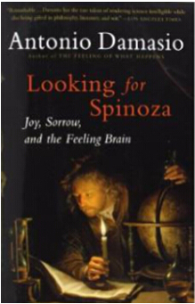 《寻找斯宾诺沙：喜悦、悲伤与感知的大脑》