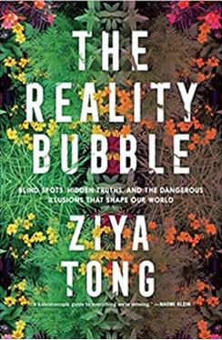 《真实泡沫：盲点、隐藏的真相和那些塑造我们世界的危险幻想》