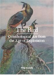 《鸟类：探索时代的鸟类艺术》