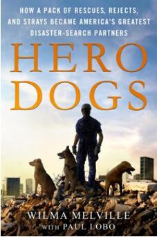 《犬类英雄：一群流浪犬如何成为美国的搜救英雄》