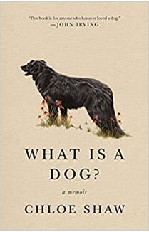 《狗狗是什么？》