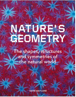 《自然几何学：自然界的形状、结构和对称性》