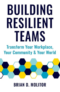 《建设有韧性的团队：如何改变你的工作场所、社区和世界》