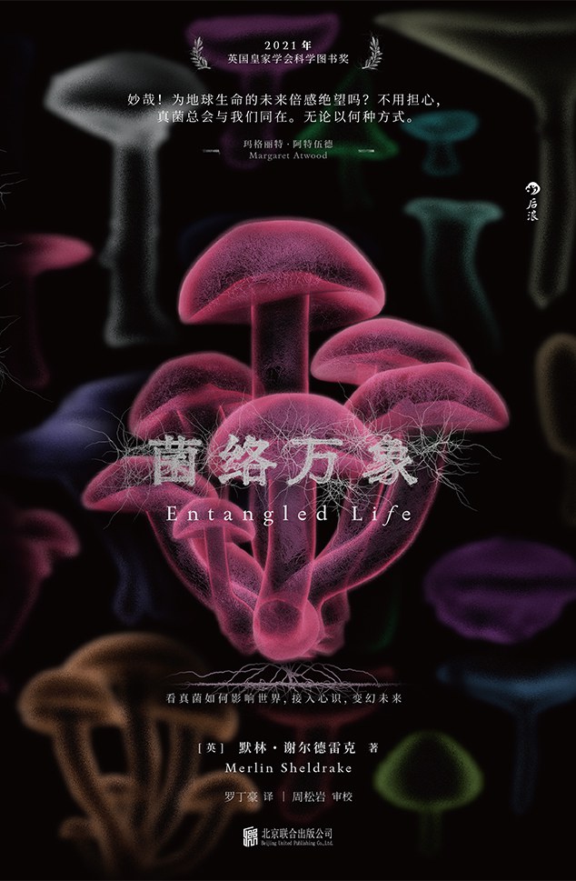 《菌络万象》