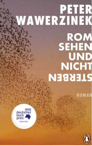 《罗马生死书》