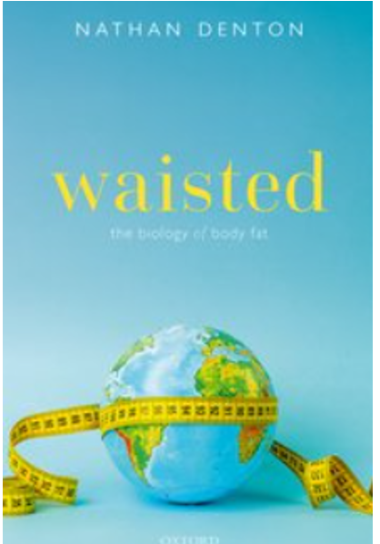 《腰际线：身体脂肪的生物学》