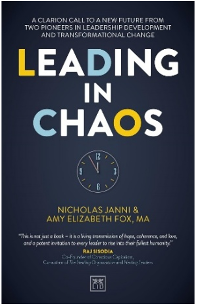 《破局而立：在混沌中开创未来新格局》